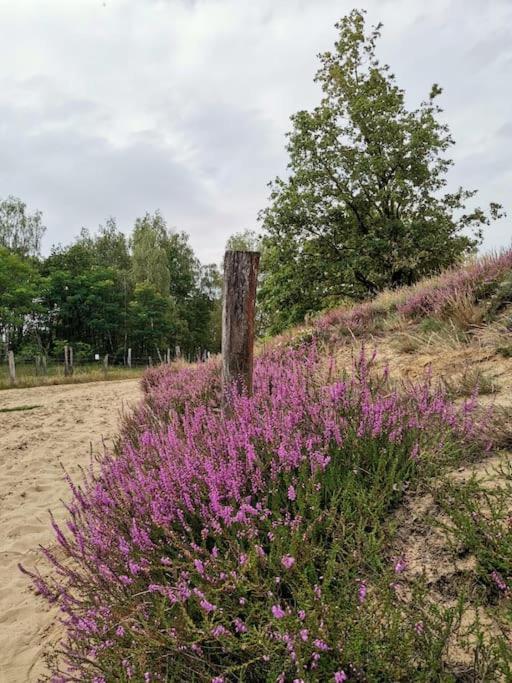 Fewo "Am Bienenstock" In Dallgow-Doberitz Exterior foto